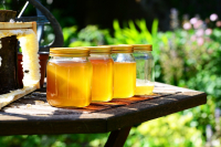 Honigsensorik - dem Geschmack auf der Spur