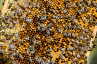 Pflegemaßnahmen im Überblick 